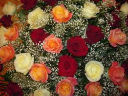FLORARIA HELIANTHUS > livrari flori si aranjamente florale pentru nunti si evenimente speciale, Baia Mare, MM, m4817_16.jpg