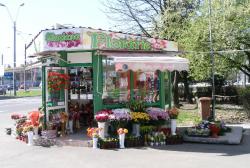 FLORARIA SINZIANA PLANT > flori, buchete si aranjamente florale si funerare > la SEMILUNA, Baia Mare, MM, m4836_1.jpg