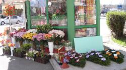 FLORARIA SINZIANA PLANT > flori, buchete si aranjamente florale si funerare > la SEMILUNA, Baia Mare, MM, m4836_2.jpg