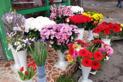 FLORARIA SINZIANA PLANT > flori, buchete si aranjamente florale si funerare > la SEMILUNA, Baia Mare, MM, m4836_4.jpg