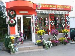 Floraria DEPEMAR > flori,  aranjamente florale, buchete mireasa, decoratiuni evenimente, cadouri, Baia Mare, MM, m319_50.jpg
