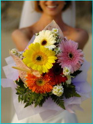 Livrari flori si aranjamente florale > floraria IRIS, Baia Mare, MM, m2640_14.jpg