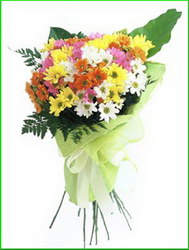 Livrari flori si aranjamente florale > floraria IRIS, Baia Mare, MM, m2640_6.jpg