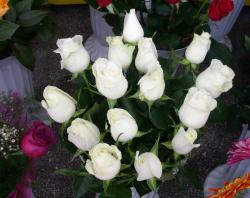 Floraria CLAUDIA > organizari nunti si evenimente speciale, Baia Mare, MM, m4608_14.jpg