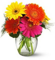 FLORARIA GABRY > livrari flori si arajamente florale, cadouri > nunti si evenimente speciale, Baia Mare, MM, m5196_12.jpg