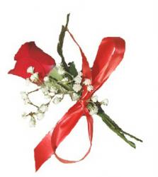 FLORARIA GABRY > livrari flori si arajamente florale, cadouri > nunti si evenimente speciale, Baia Mare, MM, m5196_21.jpg