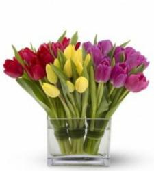 FLORARIA GABRY > livrari flori si arajamente florale, cadouri > nunti si evenimente speciale, Baia Mare, MM, m5196_3.jpg