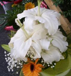 FLORARIA CENTER > livrari flori si aranjamente florale nunti si evenimente, buchete mireasa, Baia Mare, MM, m5408_9.jpg