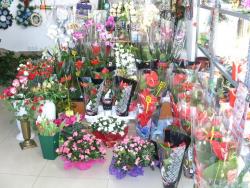 POMPE FUNEBRE si florarie BOBY > servicii FUNERARE complete, SICRIE, COROANE flori, Baia Mare, MM, m5504_13.jpg