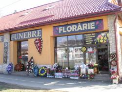 POMPE FUNEBRE si florarie BOBY > servicii FUNERARE complete, SICRIE, COROANE flori, Baia Mare, MM, m5504_3.jpg