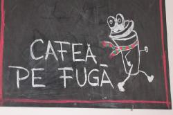 CAFENEA specializata > cafea PROASPAT PRAJITA > zona P-ta Izvoare > CASA DOBRO, Baia Mare, MM, m5663_16.jpg