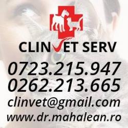 VETERINAR >  cabinet veterinar CLINVET Serv - dr. veterinar Mahalean Dinu, Baia Mare, MM, m6092_2.jpg