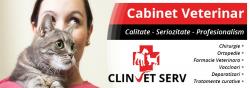 VETERINAR >  cabinet veterinar CLINVET Serv - dr. veterinar Mahalean Dinu, Baia Mare, MM, m6092_7.jpg