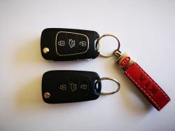 CHEI, cipuri AUTO > chei auto cu CIP si telecomanda, carcase chei, baterii chei > VIPER X, Baia Mare, MM, m6244_43.jpg