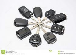 CHEI, cipuri AUTO > chei auto cu CIP si telecomanda, carcase chei, baterii chei > VIPER X, Baia Mare, MM, m6244_53.jpg