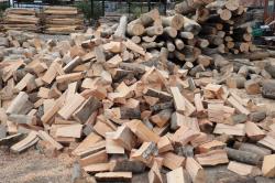 Paleti, lemne de foc, grinzi, barne, scanduri > CHIRGRUP FOREST SRL, Targu Lapus, MM, m6379_11.jpg